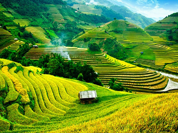 Luxury Travels Vietnam