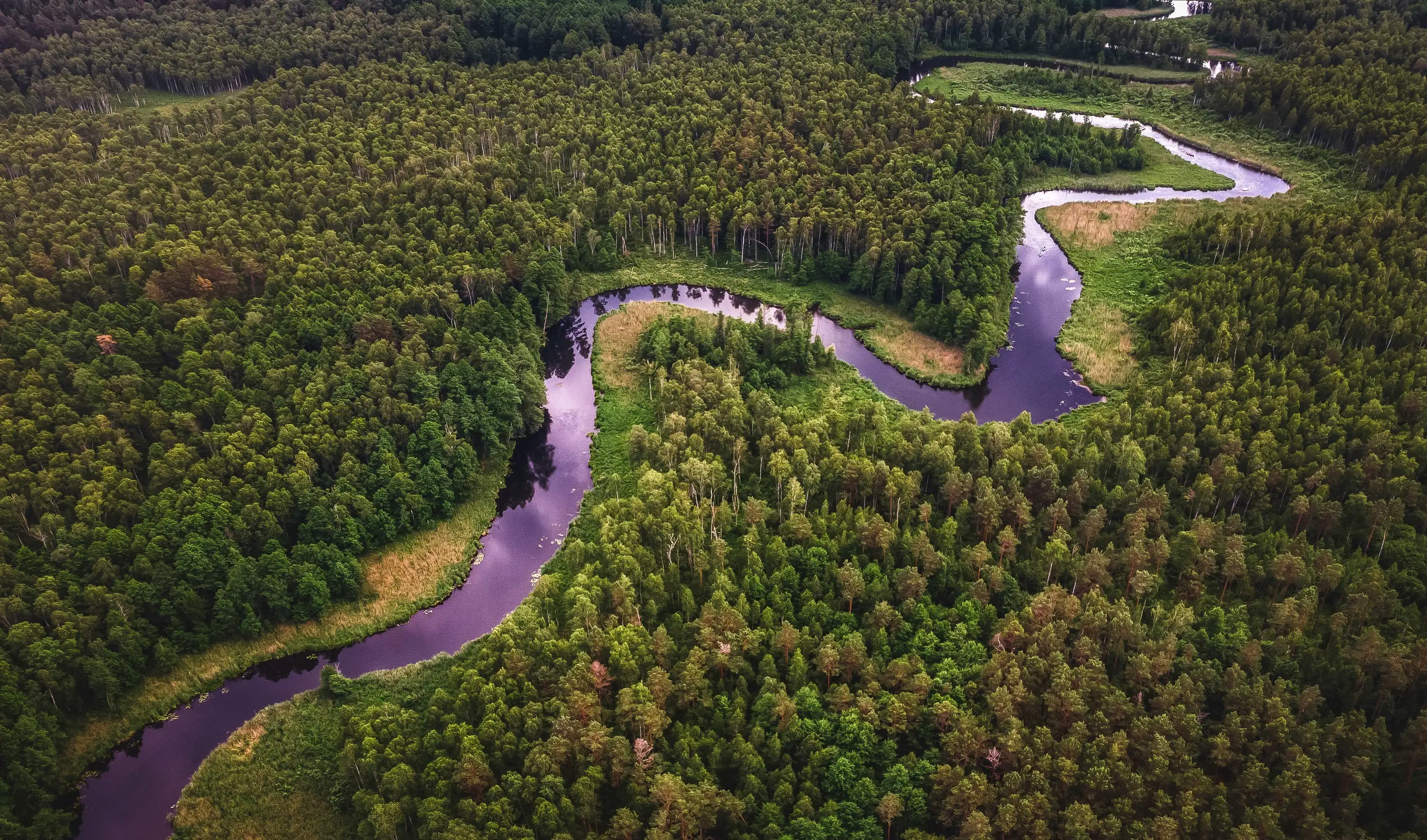 Amazon Rainforest River Luxury Expedition