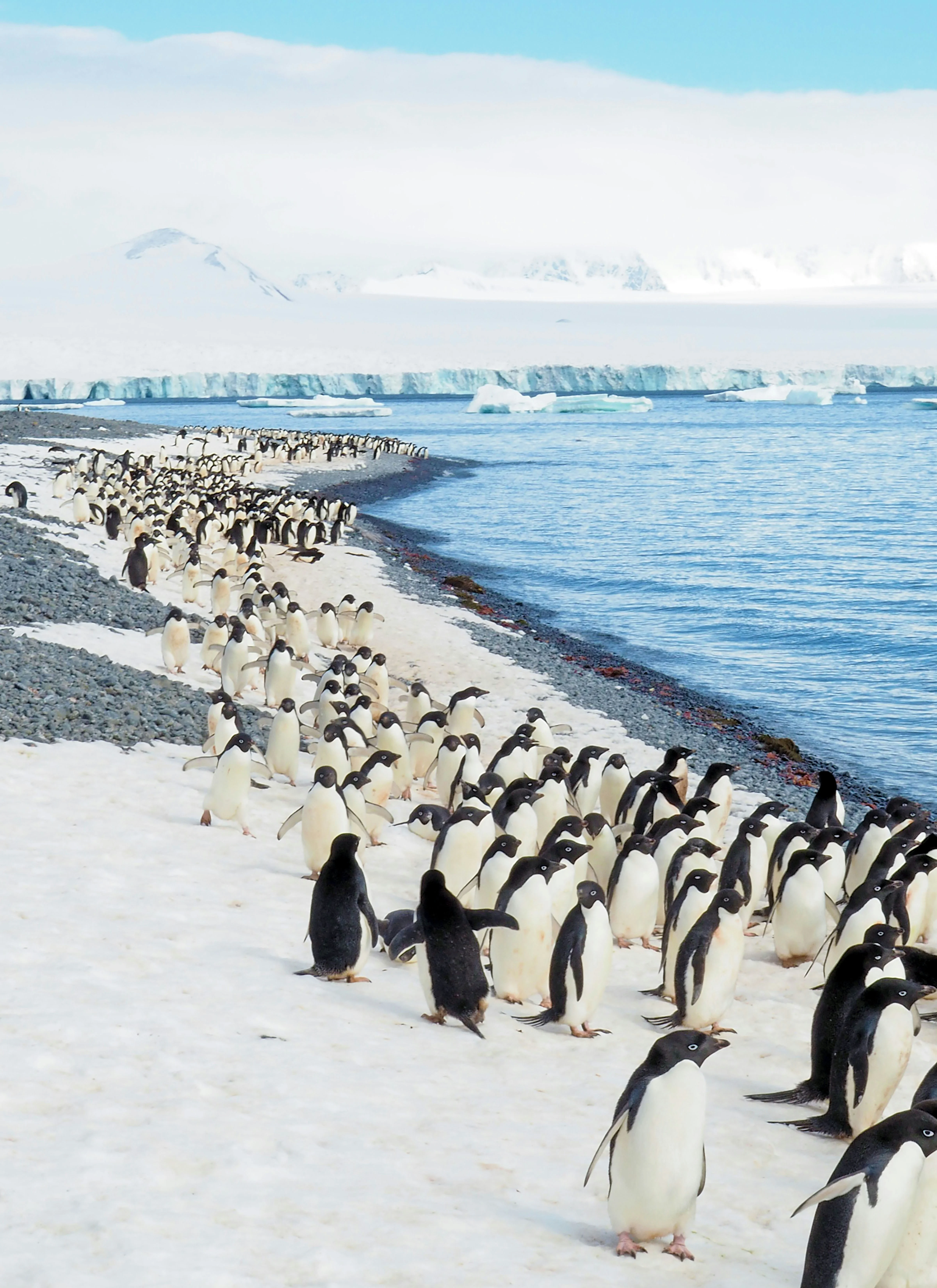 Antarctica luxury expedition cruise