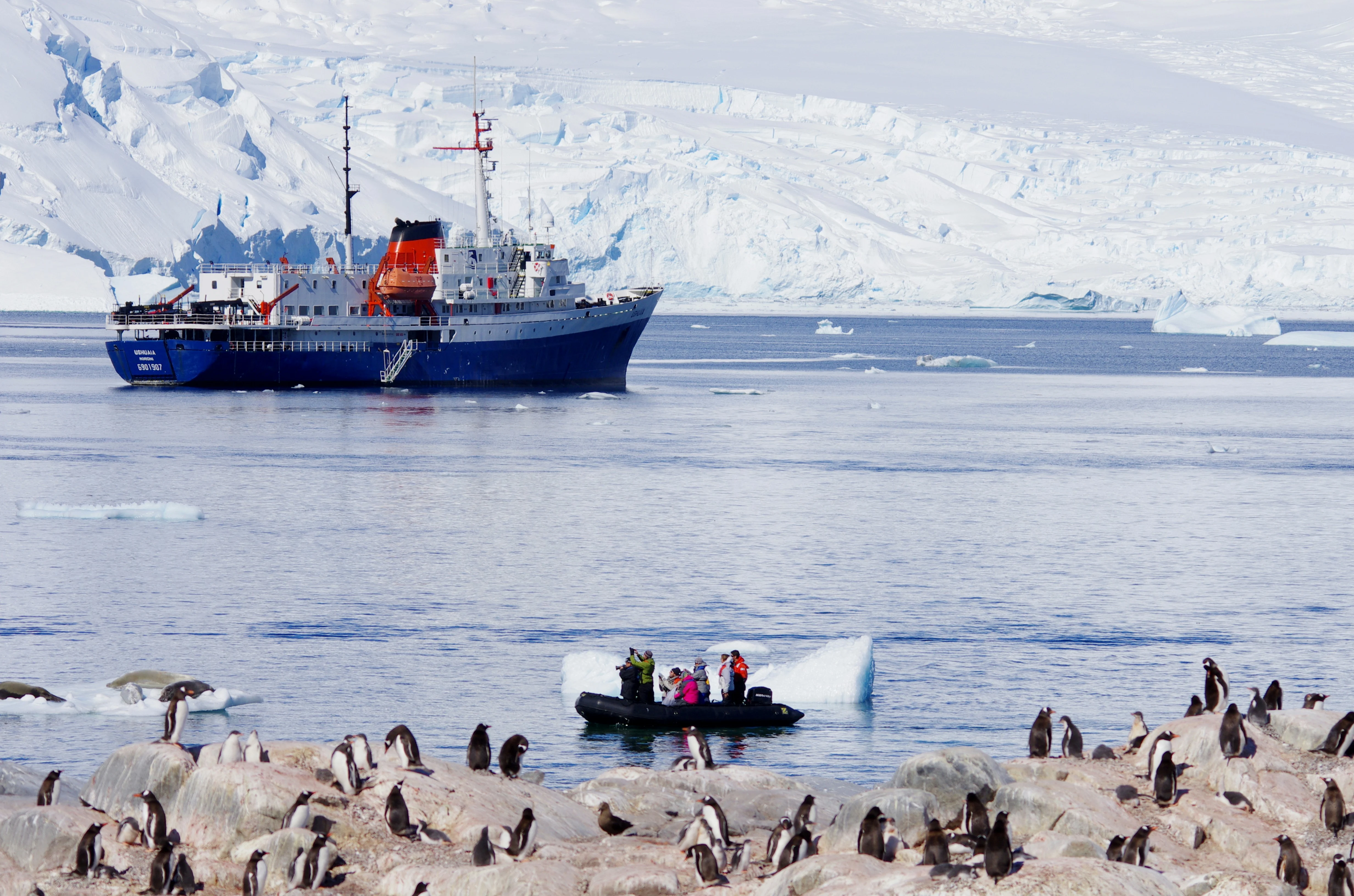 Antarctica Wildlife Expedition
