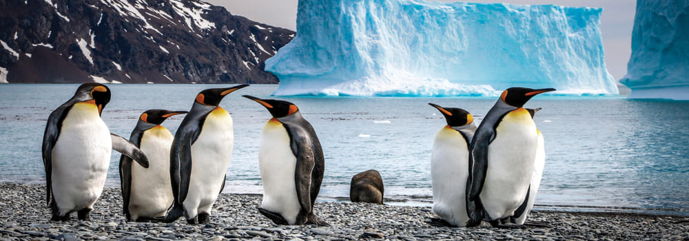 Luxury Travels Antartica