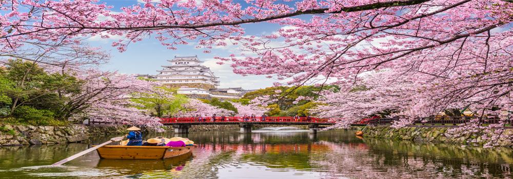 Mount Fuji with Cherry Blossoms and Chureito Pagoda