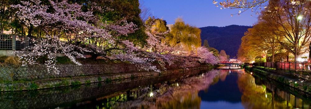 Autumn Colors in Japanese Gardens and Ryokan