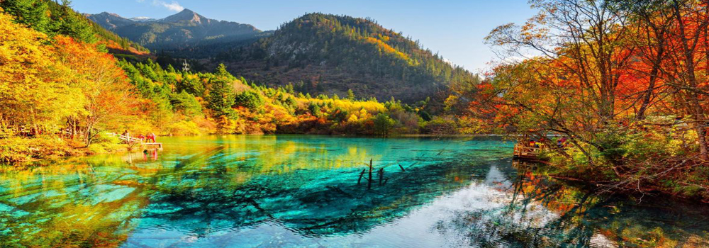 The Great Wall of China Landscape