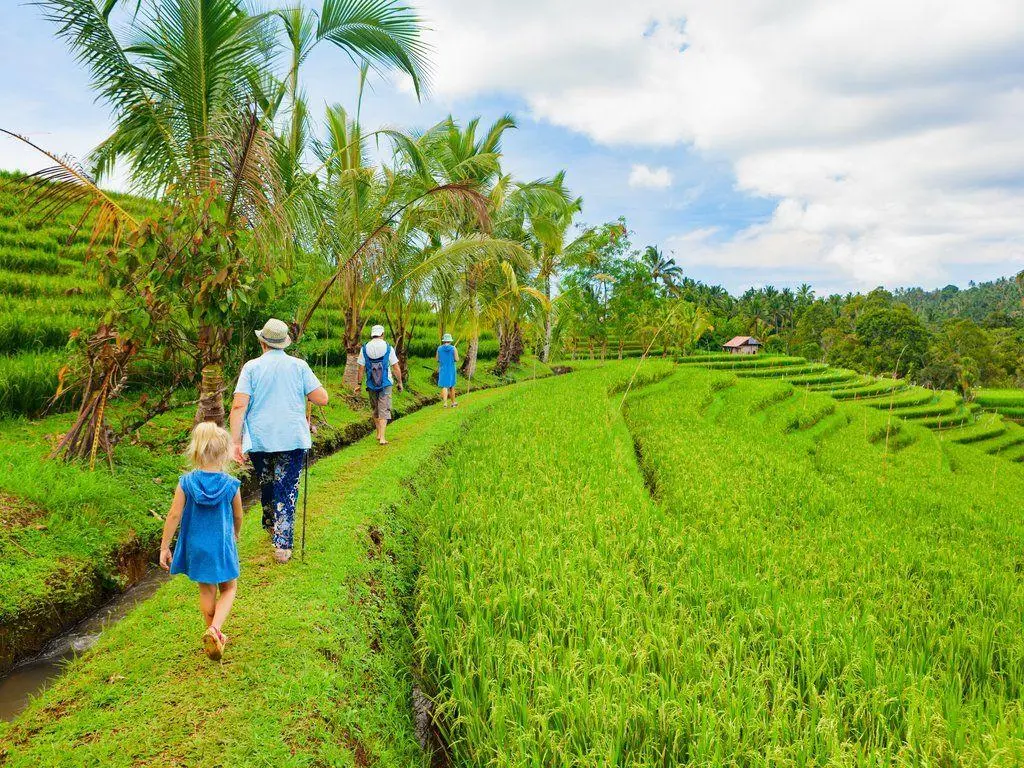 Bali Family Luxury Vacation and Activities
