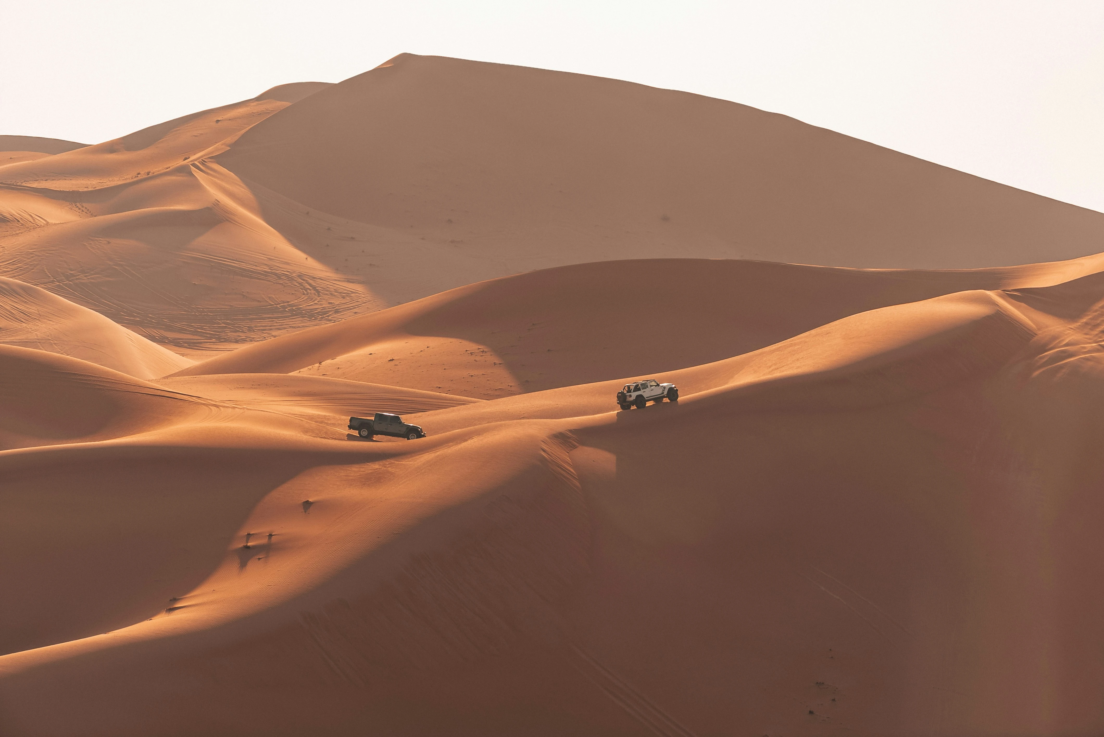 Dubai Private Luxury Desert Safari