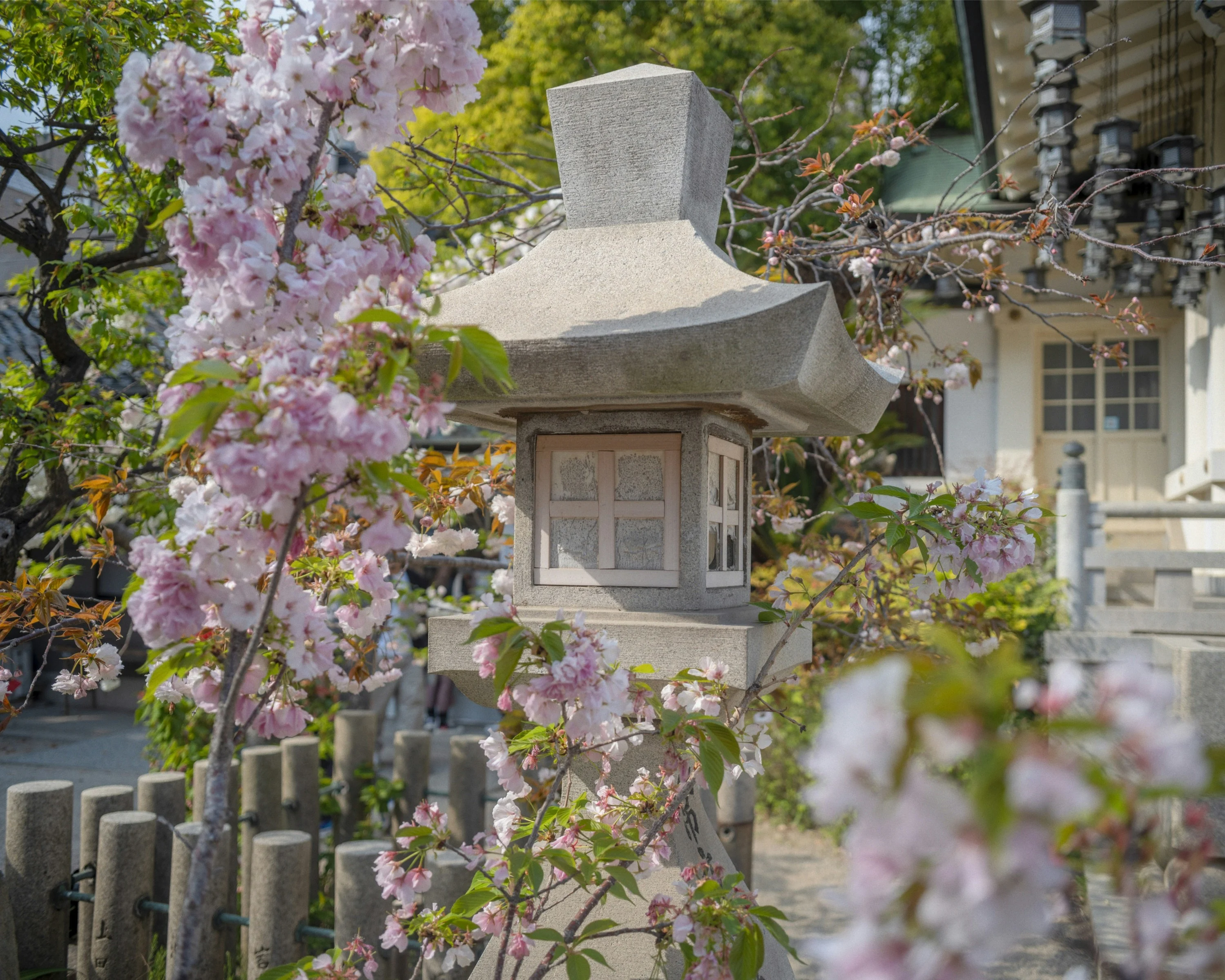 Japan Luxury Ryokan Sakura Experience