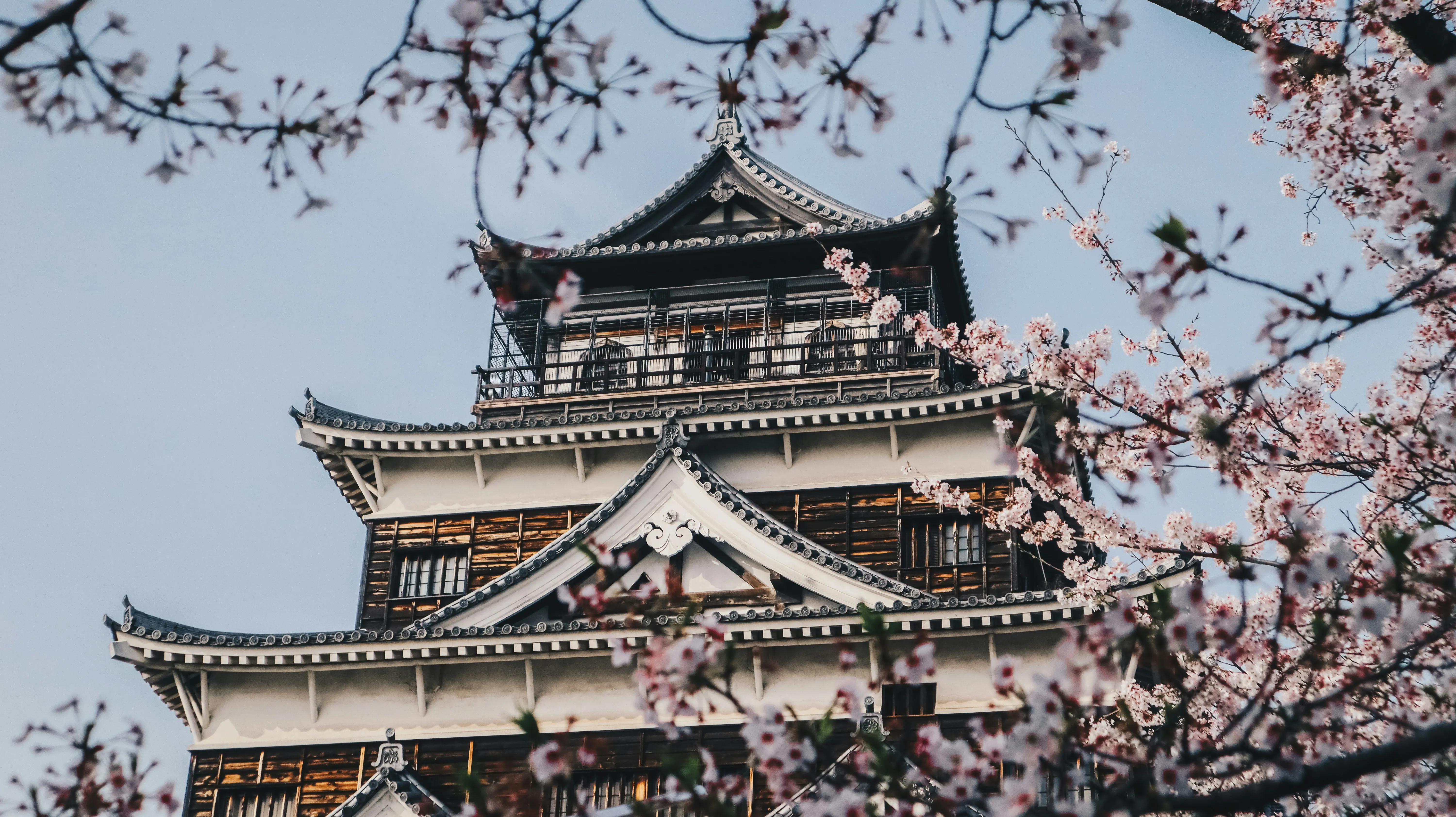 Kanazawa Cherry Blossom Luxury Travel
