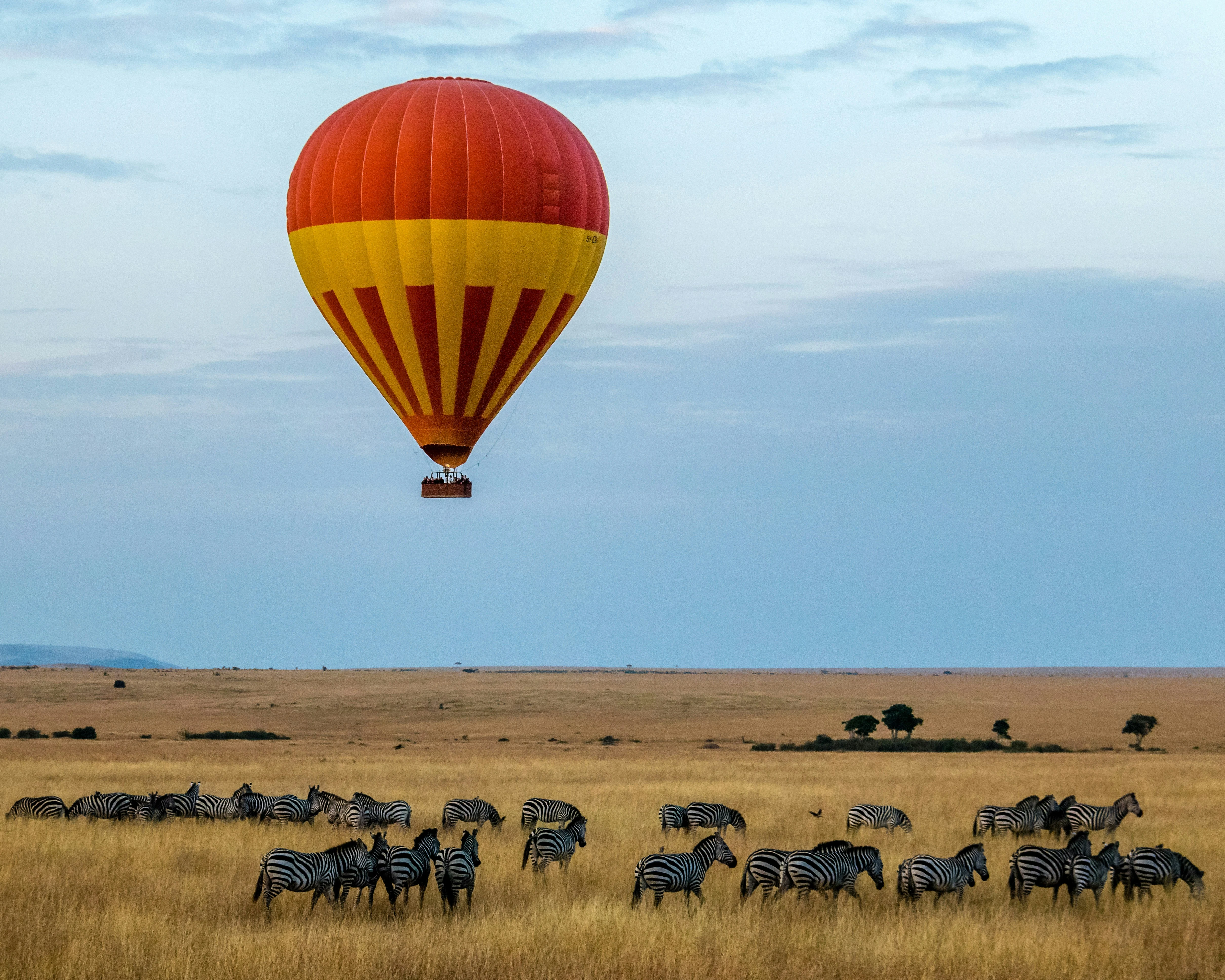 Luxury African Safari Guide