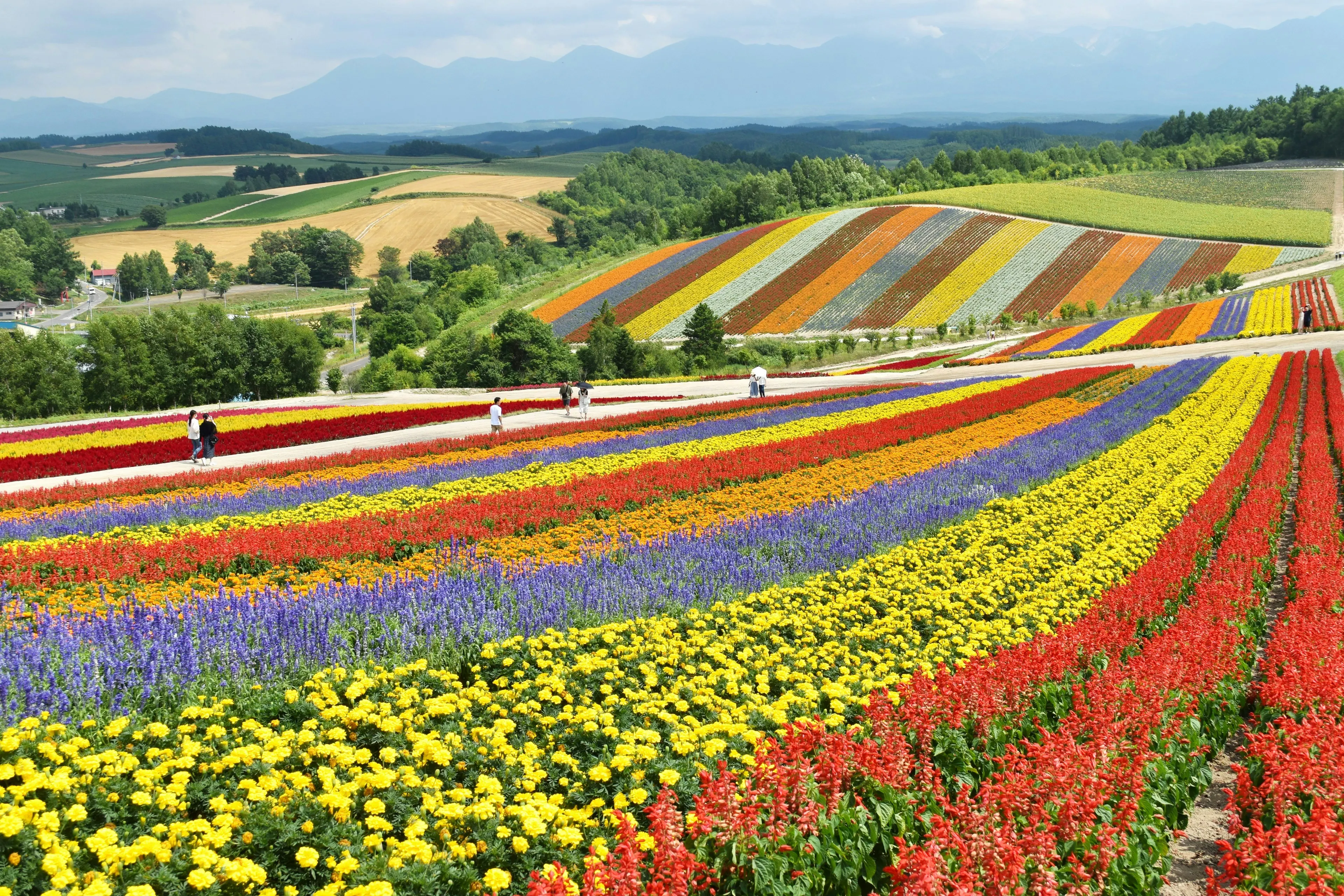 Northern Japan luxury travel in Hokkaido and Tohoku