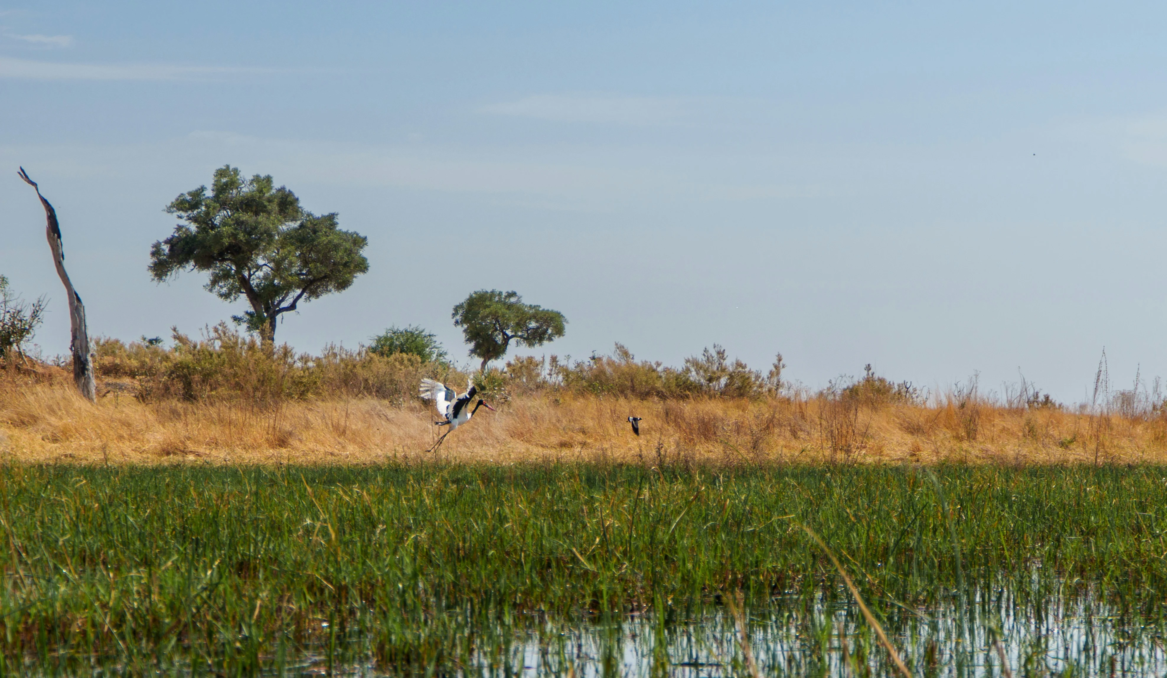 Okavango Delta Botswana Luxury Safari
