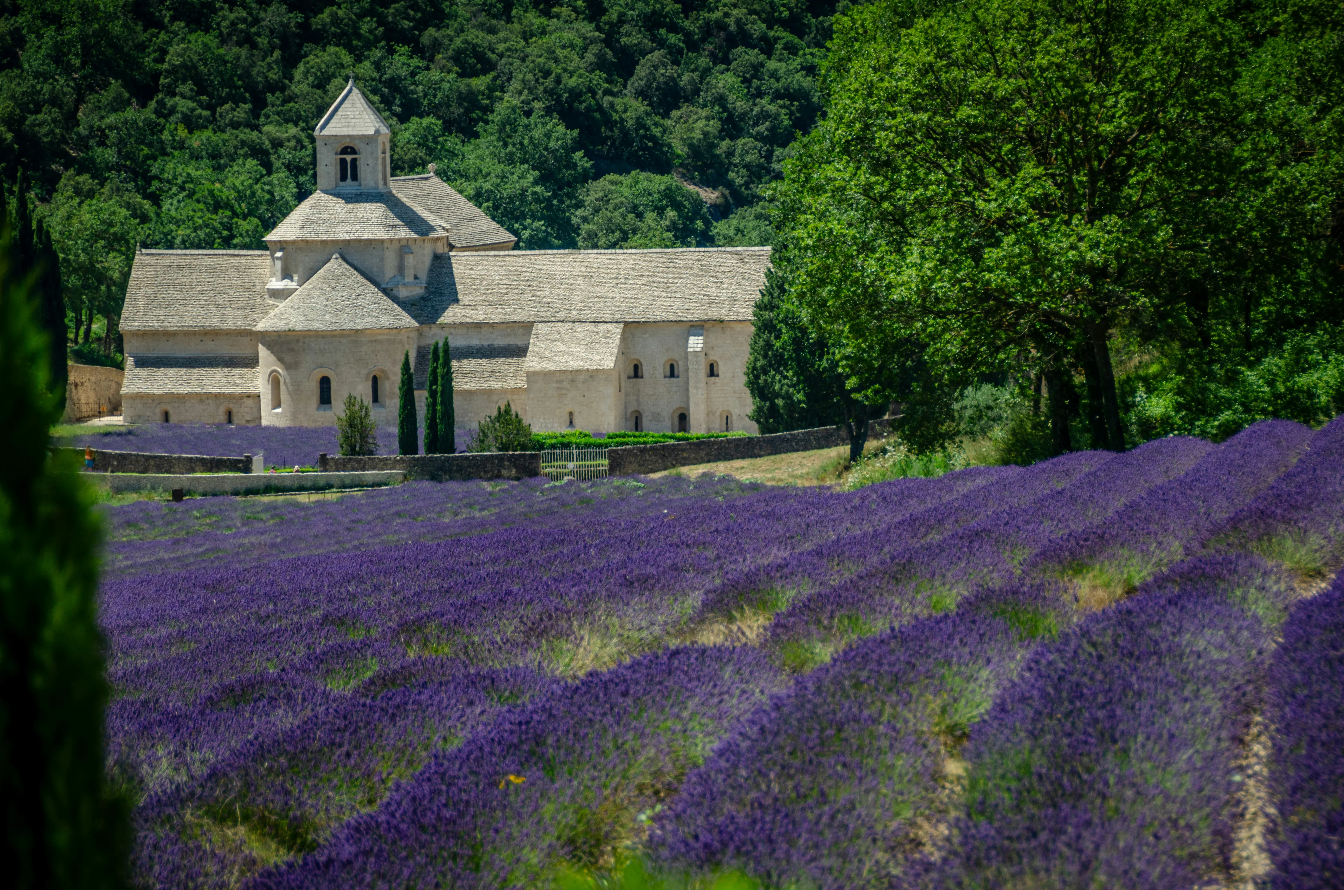 Provence Luxury Countryside Travel