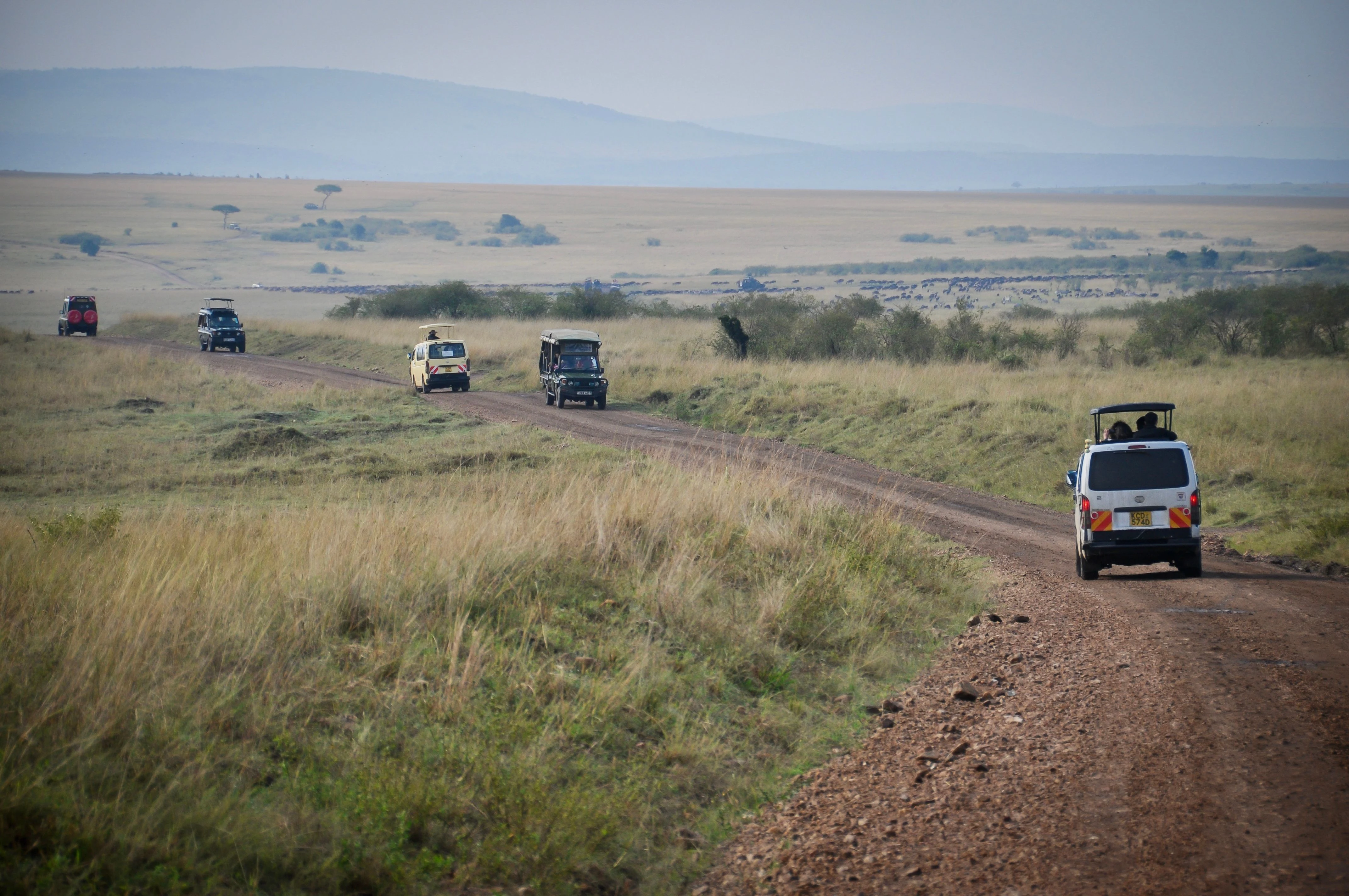 Tanzania safari game drive